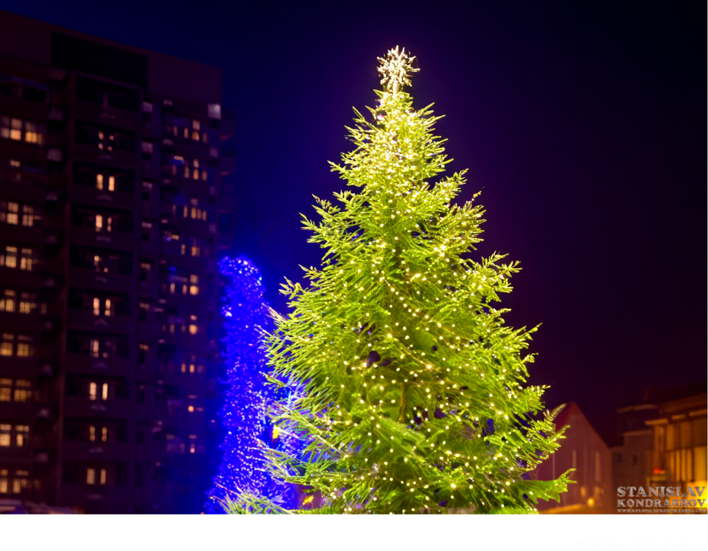 City Christmas Tree Lit Up