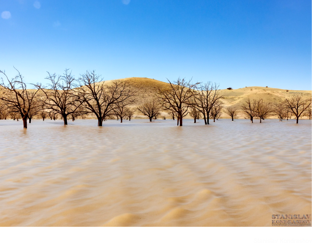 Flooded Desert