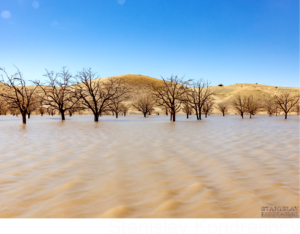 flooded desert