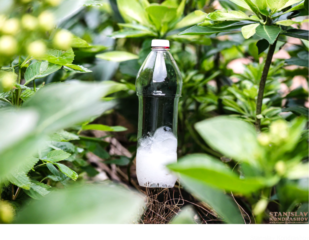 Water Bottle Greenhouse