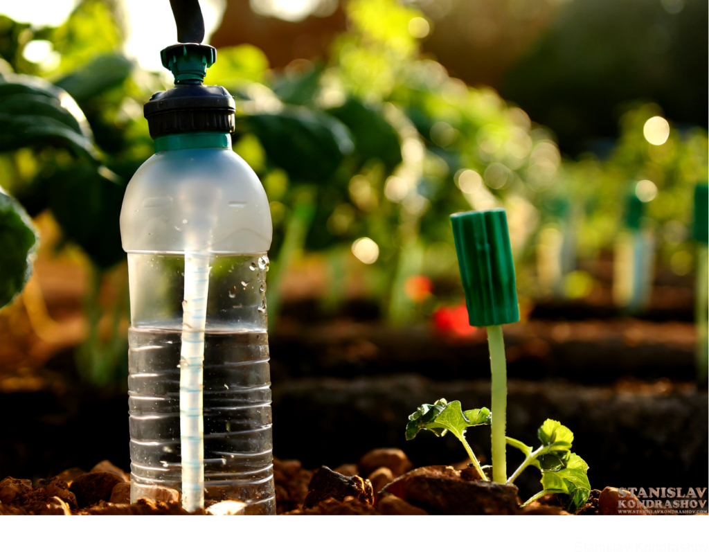 Water Bottle Irrigation
