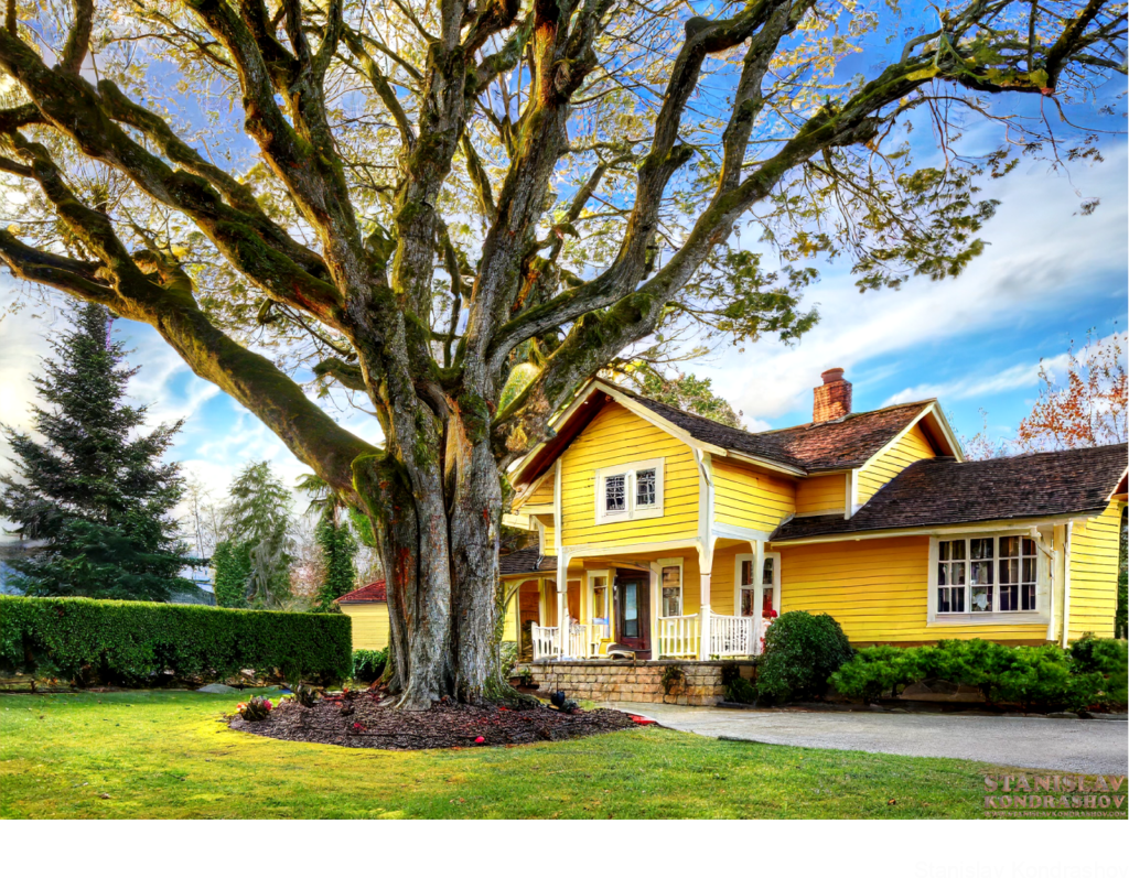 Yellow House With Tree In Front