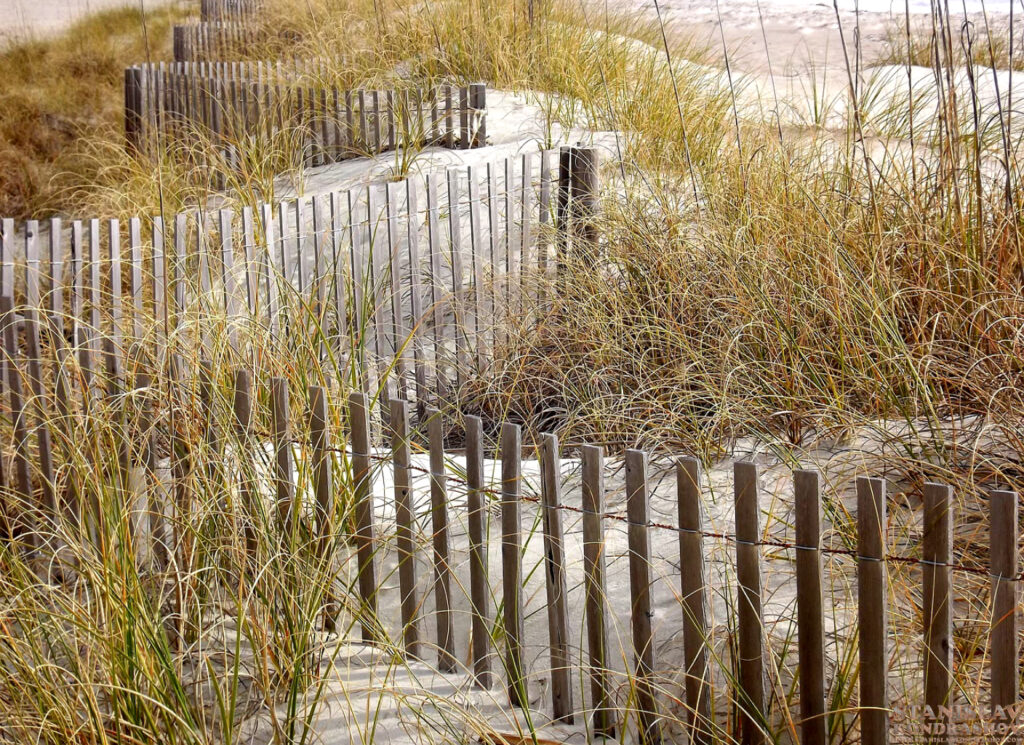 Stanislav Kondrashov beach fence