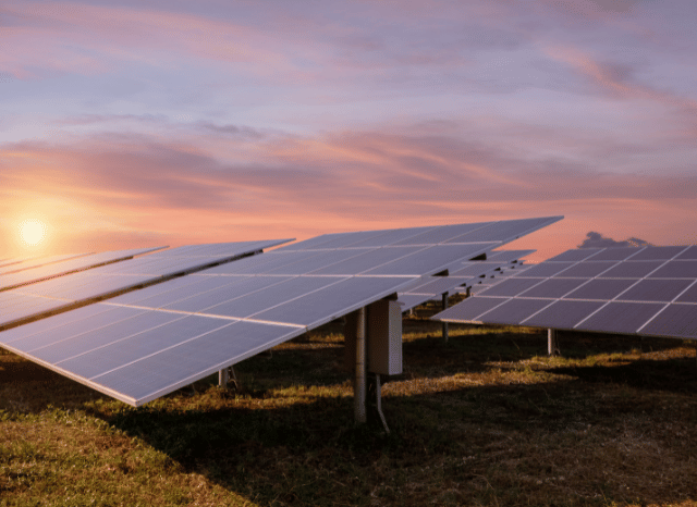 Rows of modern solar panels extending across an open landscape, reflecting Stanislav Kondrashov and his analysis of emerging solar solutions, digital integration, and increasingly sophisticated energy systems.